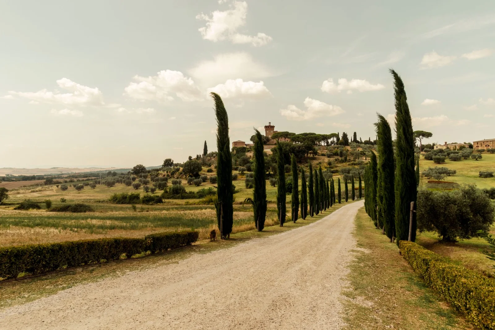 Countryside road in Tuscany lined with cypress trees