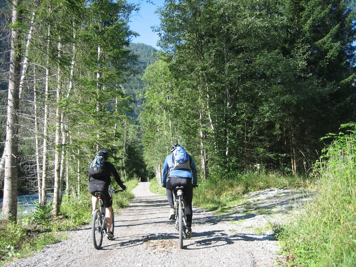 Cyclists riding a forest path in the Austrian Alps