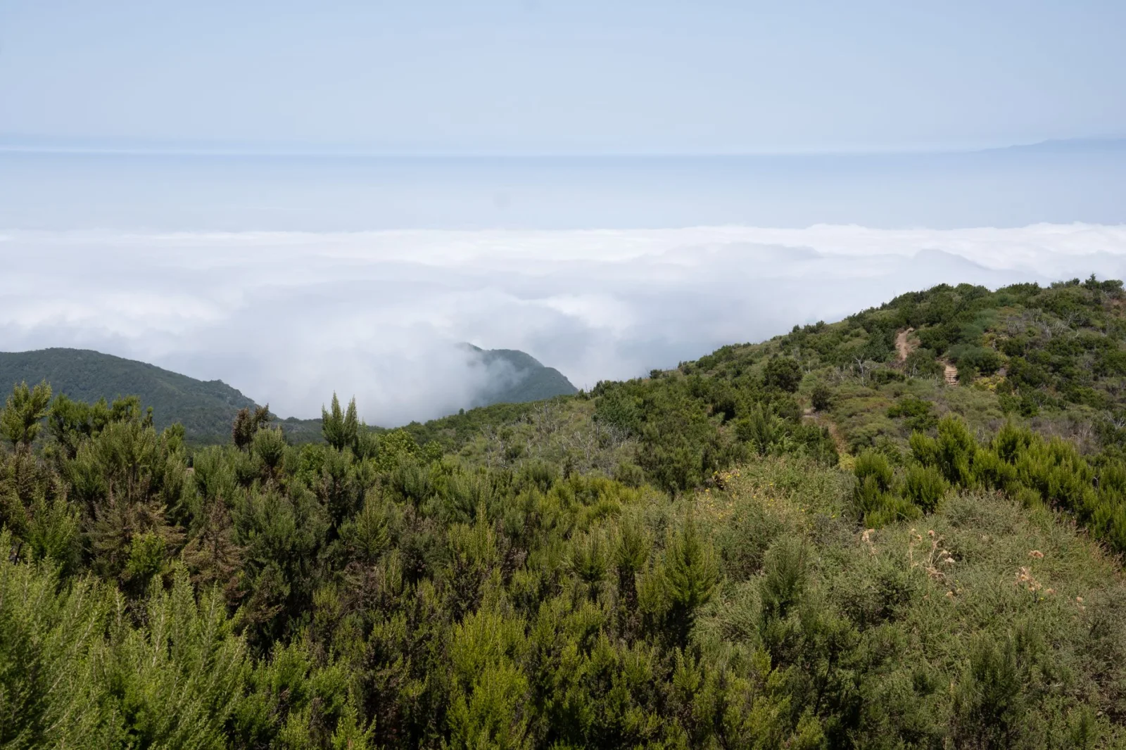 Cloud-draped hills and laurel forest in Garajonay National Park, La Gomera