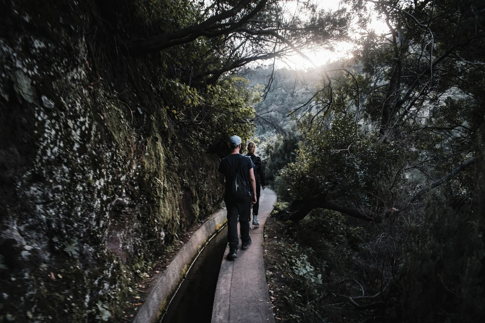 Hikers following a lush Madeira levada through the island’s green interior.