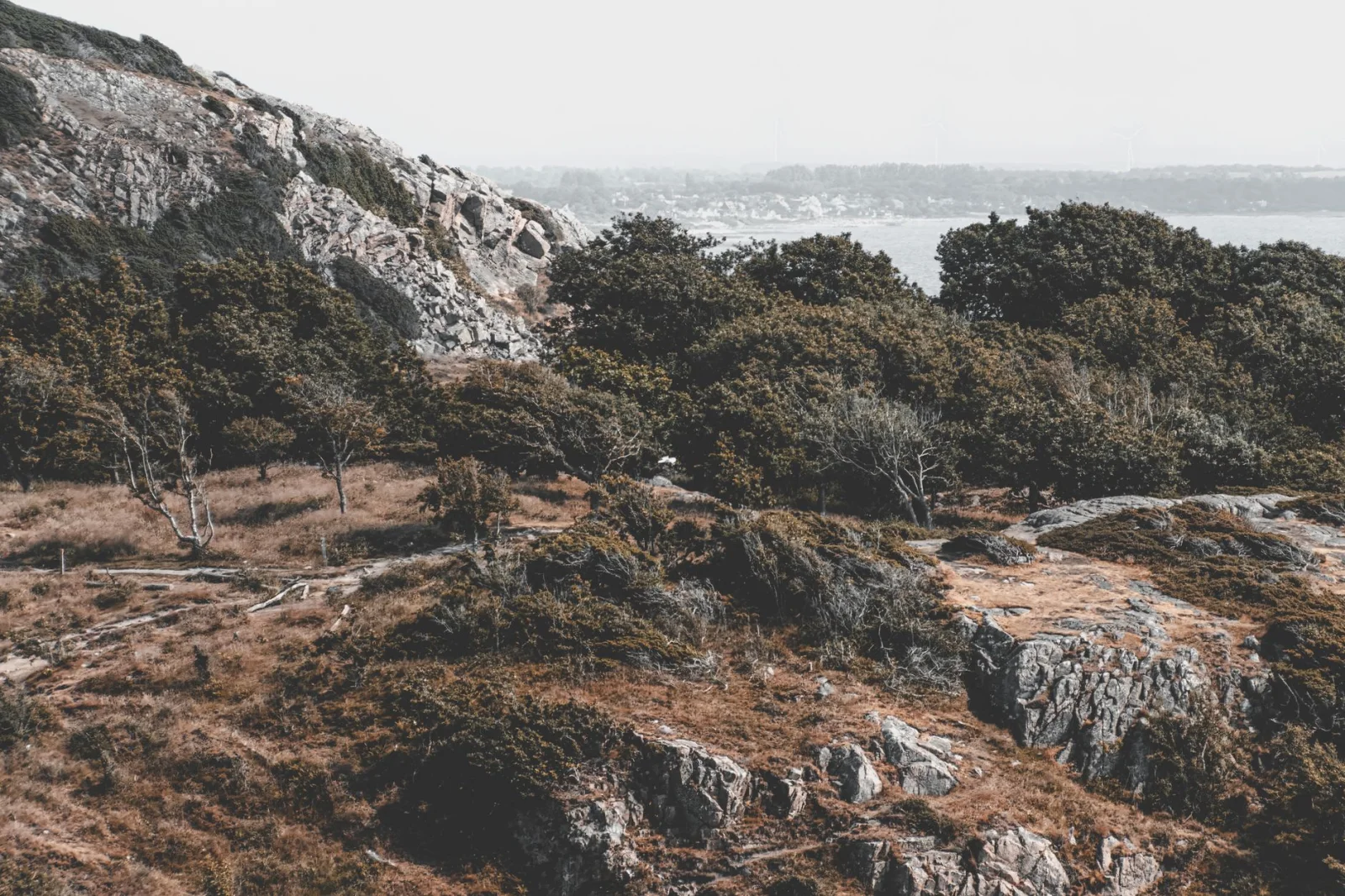 Rocky coastal woodland above the sea at Kullaberg in southern Sweden