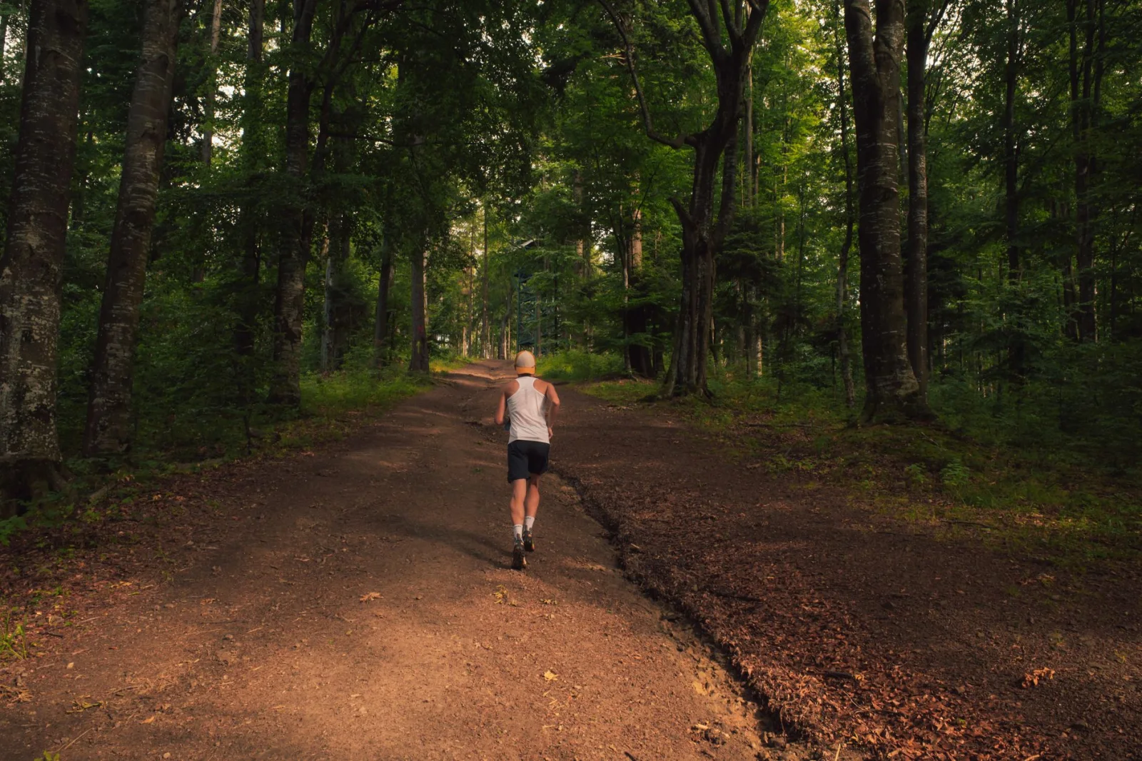 Beginner trail runner moving along a wide forest path