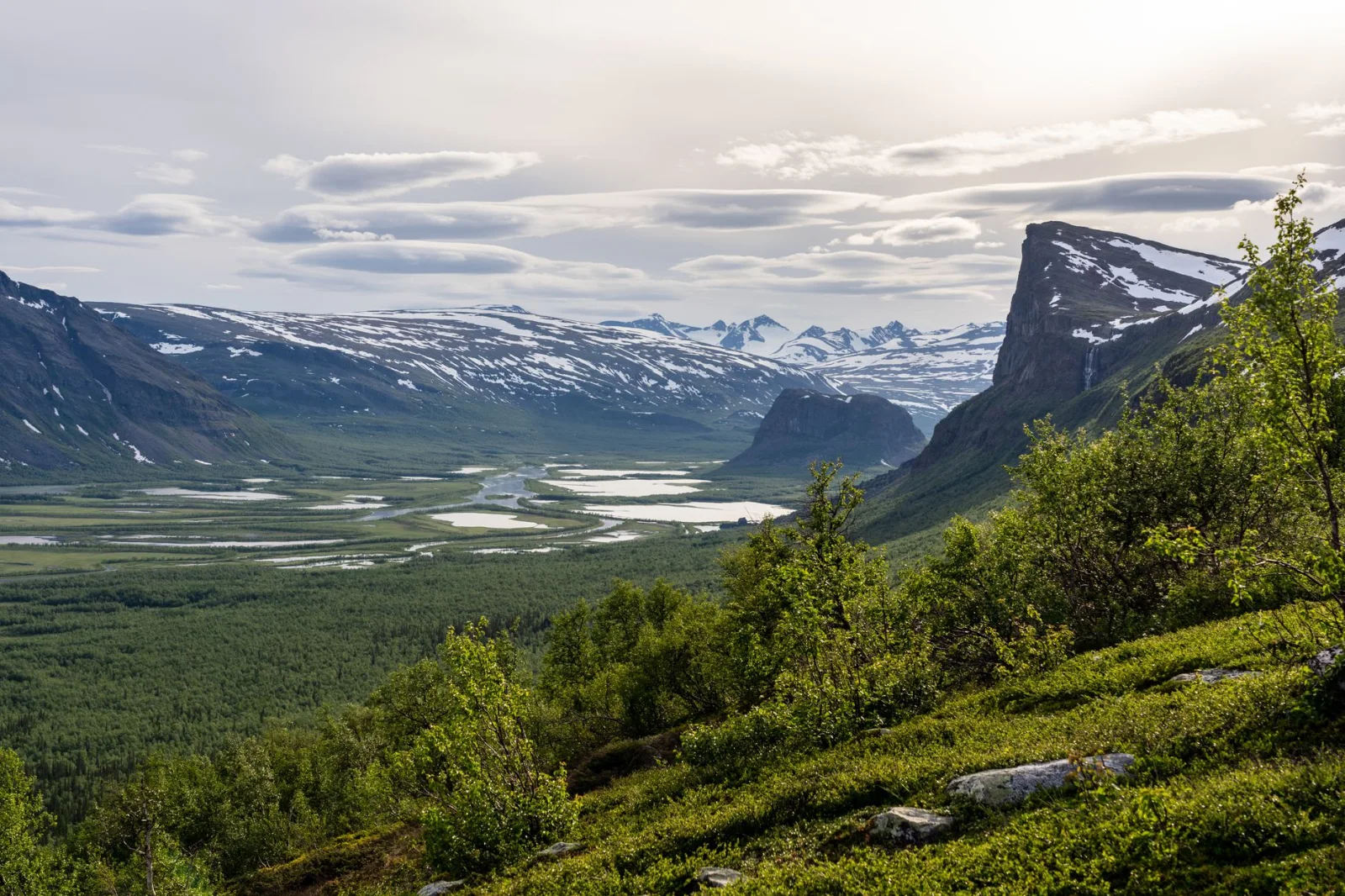 Broad mountain valley and birch woodland in Norrbotten, northern Sweden