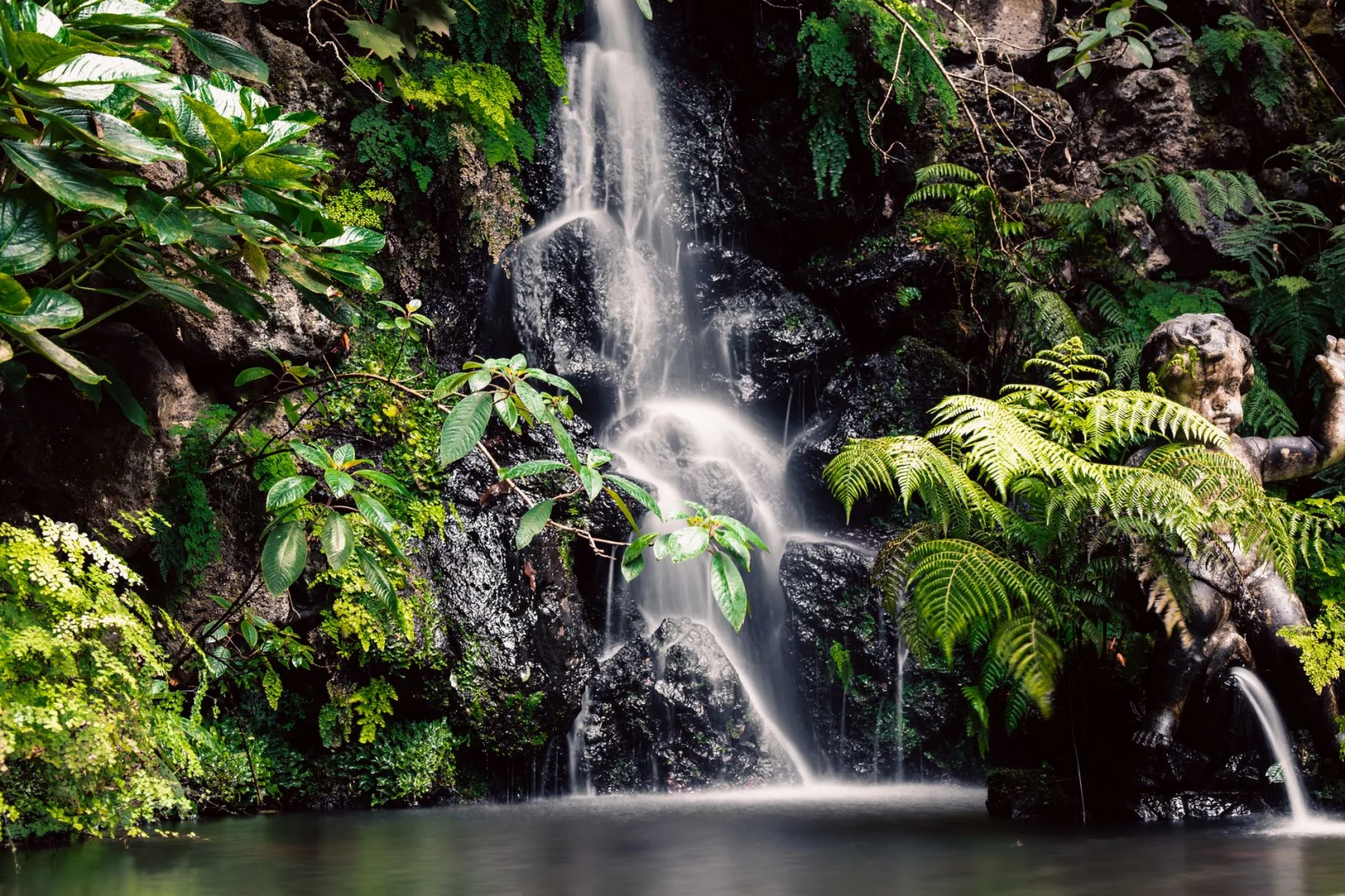 Experience the lush beauty of 25 Fontes Falls surrounded by dense greenery in Madeira's Rabacal region.
