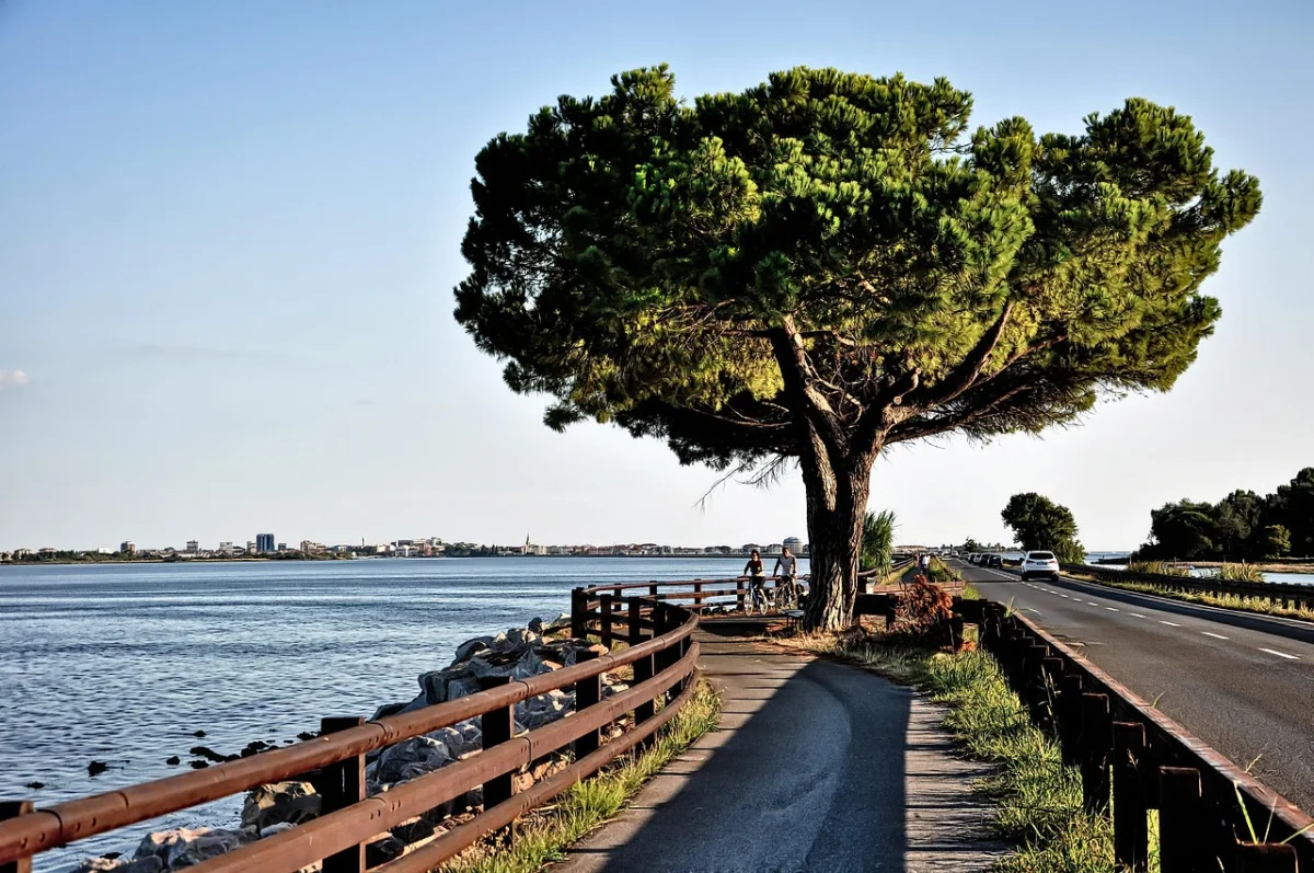The waterside cycle path approaching Grado on the Adriatic coast