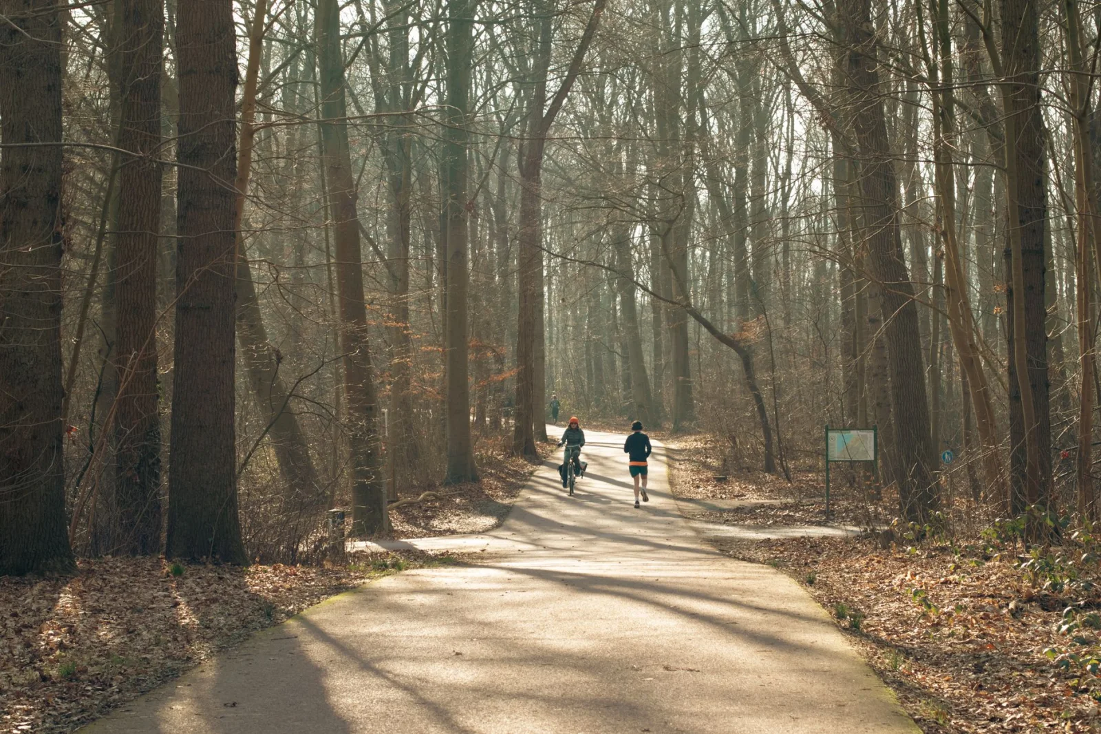 Runner and cyclist sharing a broad forest path