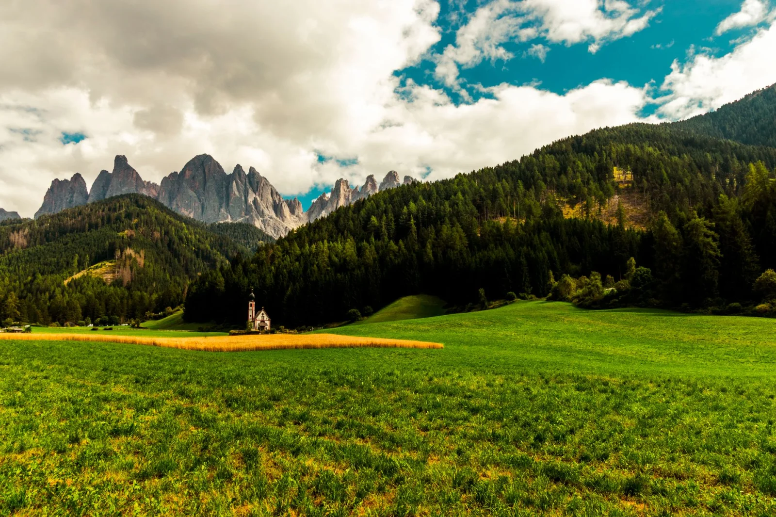 Summer landscape of Campitello di Fassa with meadows and Dolomite peaks