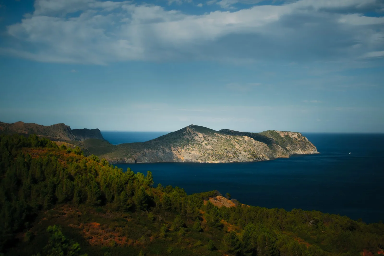 Green coastal hiking path with lush foliage and blue sea in winter
