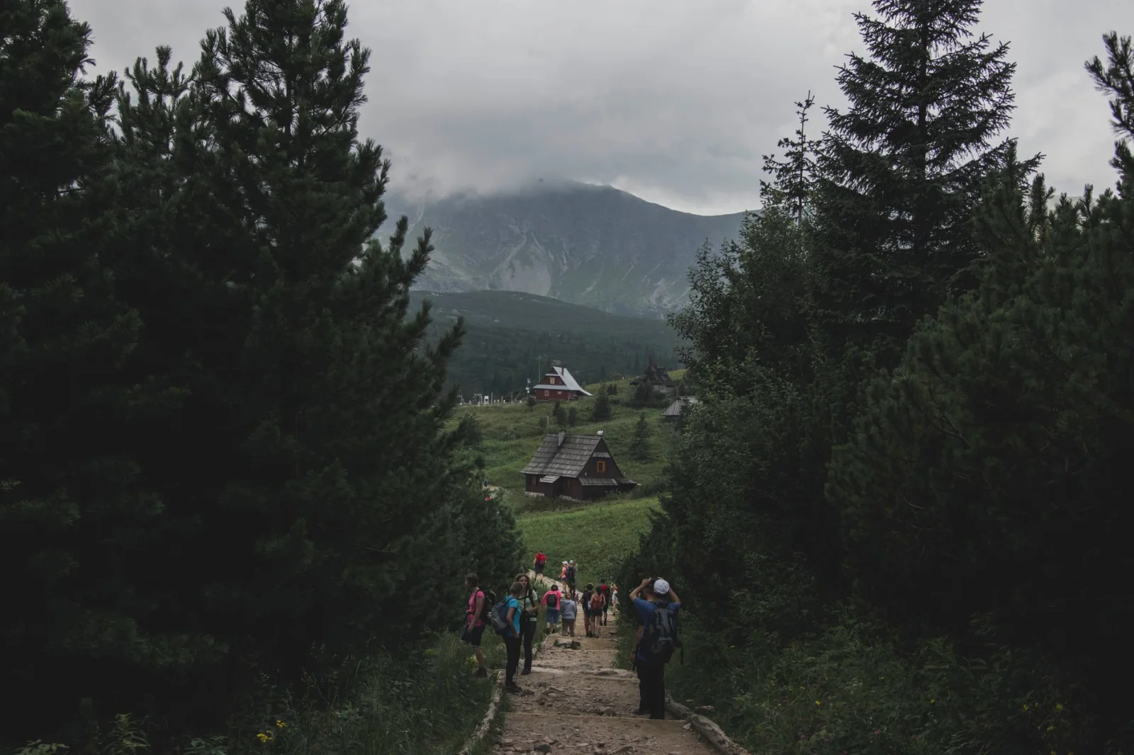 Hikers on a mountain trail near Zakopane